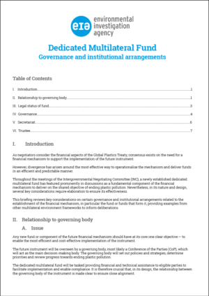 2025 - EIA UK - Dedicated Multilateral Fund - white paper - COVER