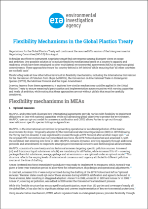2025-EIA-UK-Flexibility-Mechanisms-in-the-GPT-COVER